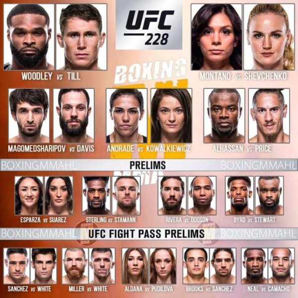 Прямая трансляция UFC 228